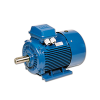 الکتروموتور چینی 3000 دور 160m1-2